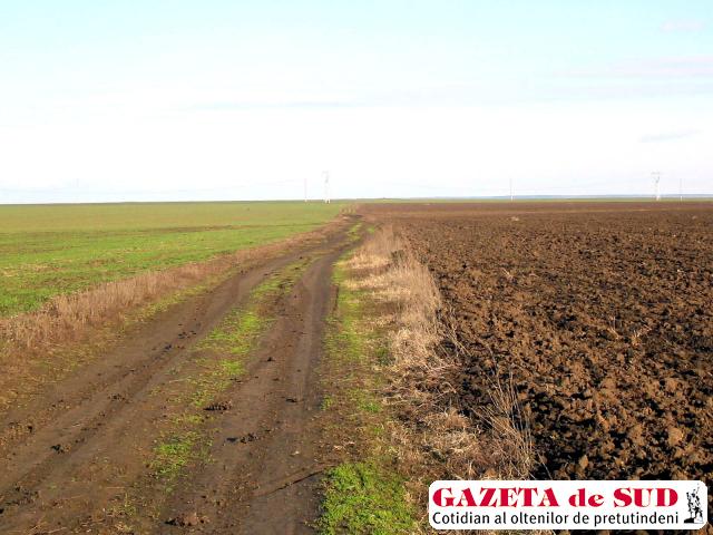 Este posibil ca în primăvară suprafeţe mari de teren agricol să rămână pârloage