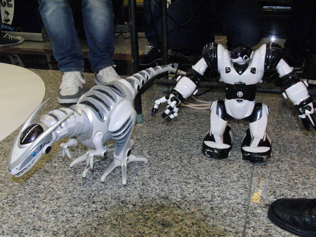 Roboţii au fost cele mai atractive invenţii