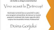brancusi viena