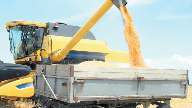 Anchetatorii au stabilit că inculpații au derulat operațiuni fictive cu cereale prin care au prejudiciat bugetul statului cu aproape cinci milioane de lei
