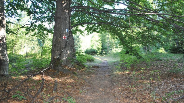 Bărbatul a fost găsit, după ce a petrecut o noapte în pădure