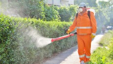 Licitația pentru DDD, tratamente fitosanitare și ecarisaj a fost din nou anulată. De data aceasta, nu de către CNSC, ci de primărie, care a respins singurul ofertant care s-a prezentat la licitație.