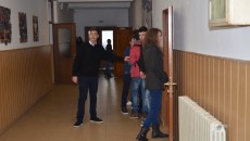 elevi