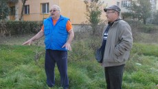 Locatarii i-au oprit pe muncitorii de la Spații Verzi să intre pe un teren privat