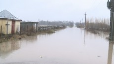 (Foto: olttv.ro)