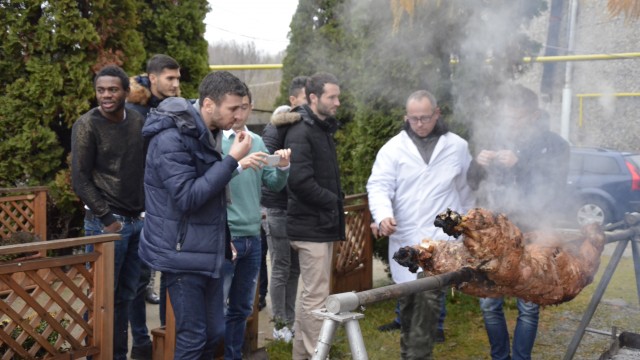 Vițelul la proțap a fost vedeta petrecerii