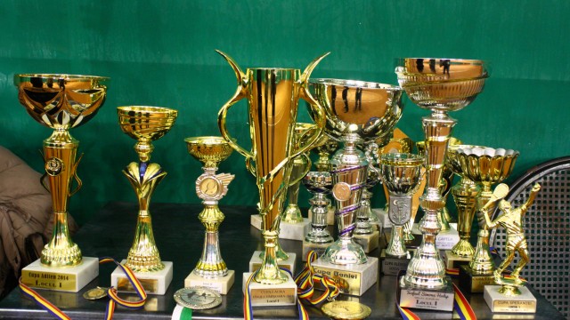 Câteva dintre trofeele cucerite de Alexandru Coman