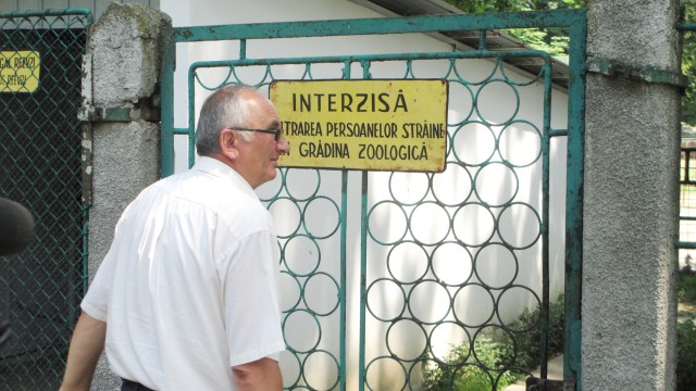 Moartea a patru pui de leu de la Zoo Craiova s-a lăsat cu două concedieri (FOTO: arhiva GdS)