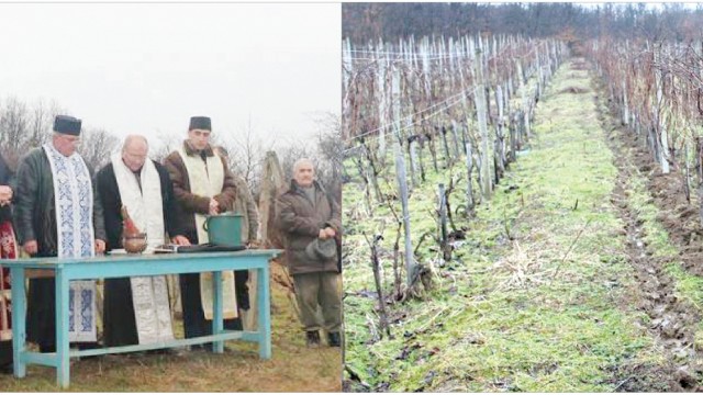 Viile au fost binecuvântate de preoţi (Foto: Eugen Măruţă)