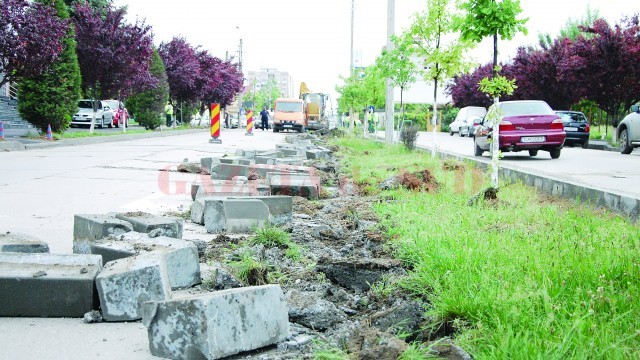 Bordurile puse în urmă cu două săptămâni au fost scoase  de muncitorii de la Delta (Foto: Claudiu Tudor)