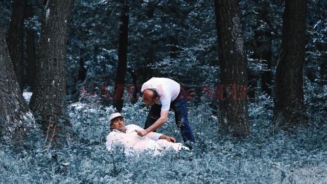 Un vizitator este intervievat de un jurnalist local. „Cred că sunt peste 10.000 de oameni în pădure, care se distrează aşa cum se cuvine. Ne-a dat Dumnezeu această comoară şi nu vrem să ne batem joc de ea. Toată lumea se distrează, grătarele sfârâie, berea şi vinul sunt la mare căutare, copiii aleargă în voie, iar atmosfera este întreţinută de formaţii şi interpreţi de muzică populară”, a declarat primarul comunei