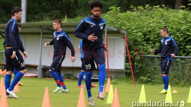 Wellington s-a făcut pandur