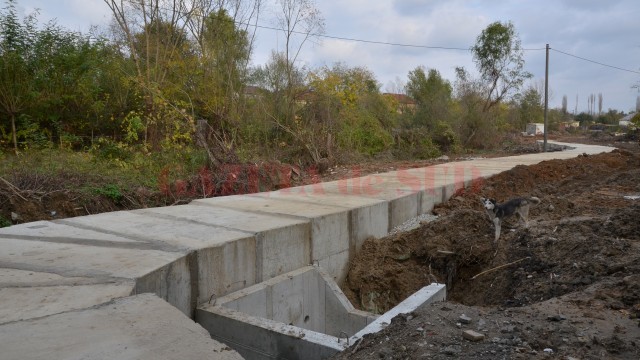 Asocierea Recon - Civilcad a lucrat, din luna septembrie a anului trecut, la casetarea canalului Cornițoiu