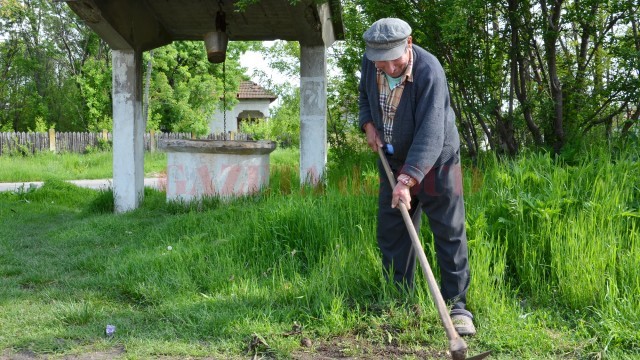 Agricultorii care cultivă suprafețe mai mari de teren trebuie să depună declarații la Fisc și să își plătească impozitul până la iarnă. Cei care dau terenurile în arendă nu trebuie să plătească și impozitul pe venit, calculat la norme de venit. (FOTO: arhiva GdS)