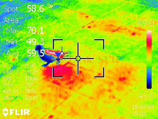 La ora15.02, la nivelul penajului unui porumbel aflat la sol, camera cu infraroșu măsura 70,1 grade, în timp ce la sol erau 59,5. O medie a temperaturii captate de camera cu termoviziune a fost de 58,6 grade.