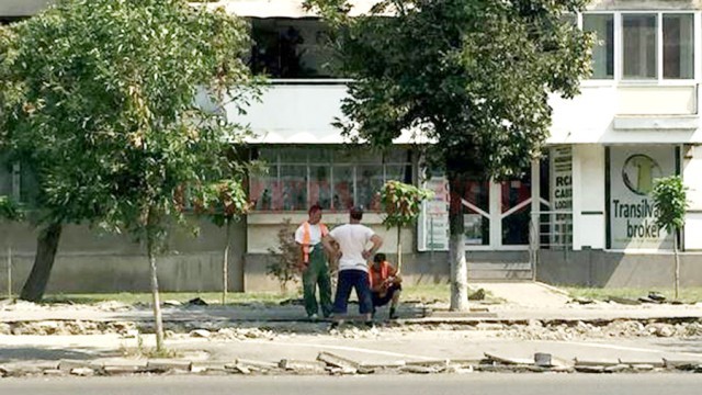 Muncitorii stau la umbră și, chiar dacă nu-i aprob, îi înțeleg: termometrul arată 32 de grade, cu puțin înainte de ora prânzului. Știu că este mai greu pentru antreprenorul lucrării, dar nu s-ar putea organiza lucrul pe timpul nopții? Sunt câteva avantaje: se lucrează mai repede, pentru că traficul este mult redus. Muncitorii sunt mai spornici, pentru că temperatura mediului este mai scăzută. Nu mai vorbim despre ce ar însemna lucrul în ture, 24 de ore din 24.