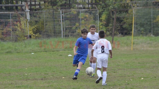 _DSC0009