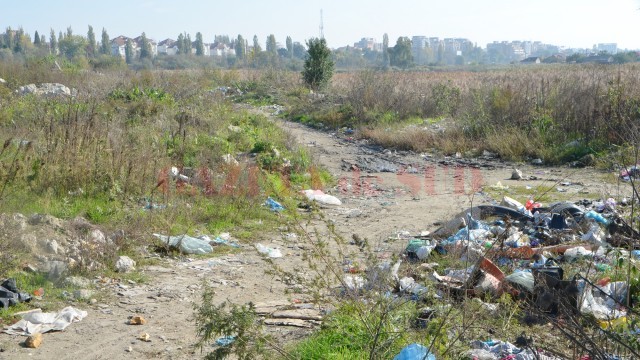 Balta Craiovița, un focar de infecție din cartierul Brestei în legătura cu care nu poate face nimeni nimic (Foto: Lucian Anghel)