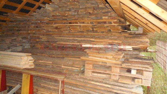 În urma perchezițiilor, oameni legii au găsit o cantitate de cherestea pentru care suspecții nu au putut prezenta documente de proveniență (Foto: IPJ Dolj)