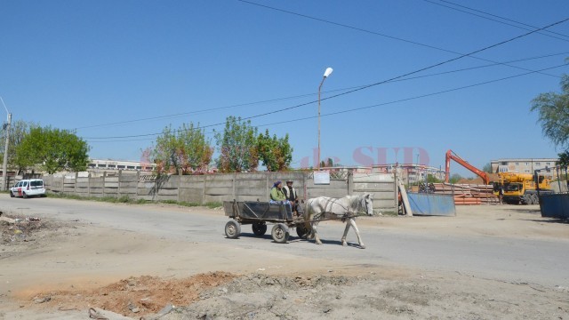 Inspectoratul de Poliție al Județului Dolj și Poliția Locală Craiova au aplicat peste 400  de sancțiuni în acest an, la nivelul județului și al municipiului, celor care conduceau vehicule cu tracțiune animală (Foto: Arhiva GdS)