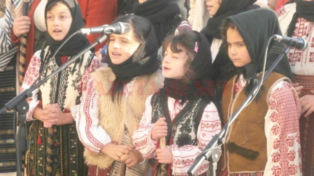 alai iarna 2014