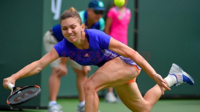 halep2