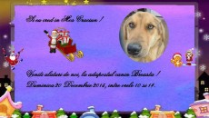 facebook loaca aurelia