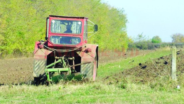 Agricultorii mai au timp până la sfârşitul anului să depună cererile (Foto: Arhiva GdS)