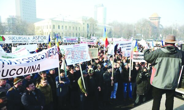 (Foto: Angelo Brezoianu/Agerpres)