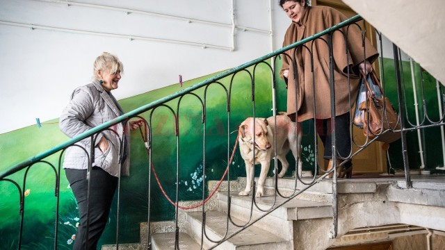 Vizualul se revarsă din atelier pe scara de bloc, pe care Aurora Speranţa a pictat-o în nuanţe de verde crud. "Pictura de pe scară e o bazaconie, statul la bloc e greu", spune artista. 