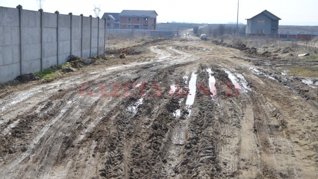 Pe Aleea Teilor noroiul tronează în locul asfaltului (Foto: Claudiu Tudor)