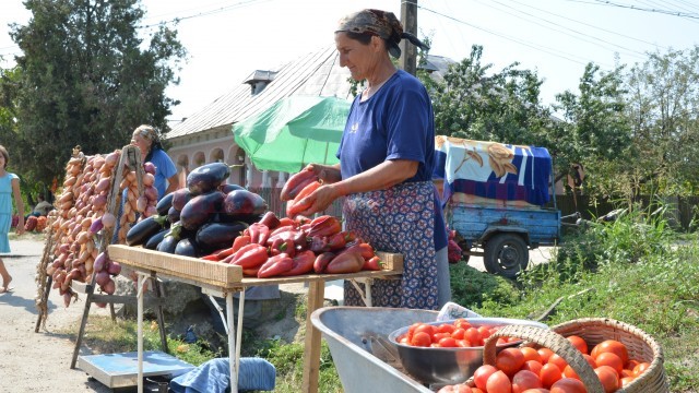 Fermierii pot accesa fonduri și pentru activități neagricole, dar trebuie să fie organizați ca firme sau cel puțin ca PFA (FOTO: arhiva GdS)