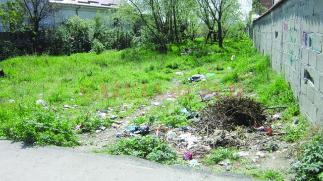 Terenul de pe strada Fulger, focar de infecție (Foto: Maria Cernătescu)