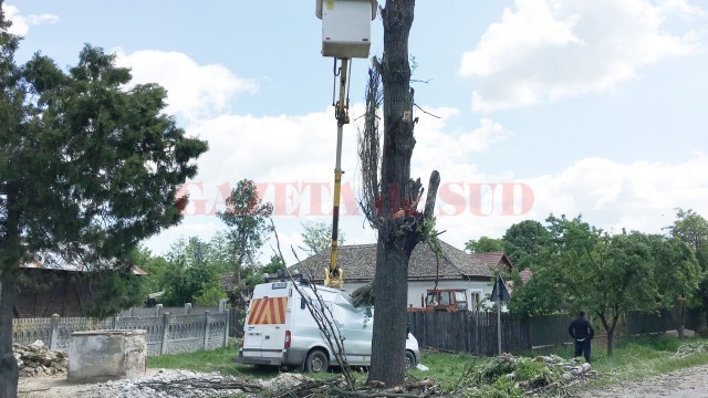 Bărbatul a căzut în gol după ce copacul tăiat s-a prăbușit pe autoutilitara Ford (FOTO: Un cititor GdS)