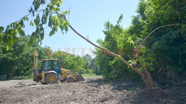 Din groapa săpată în Parcul „Romanescu“ a mai rămas doar un șanț (Foto: Bogdan Grosu)