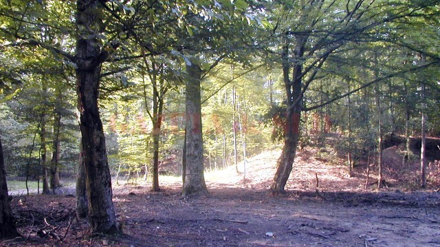 APM sărbătoreşte biodiversitatea