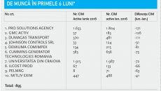 Firmele care au desfăcut cele mai multe contracte  de muncă în primele 6 luni