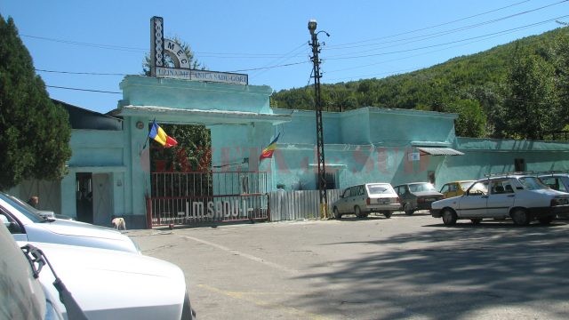 Uzina Mecanică de la Sadu mai are 900 de salariaţi