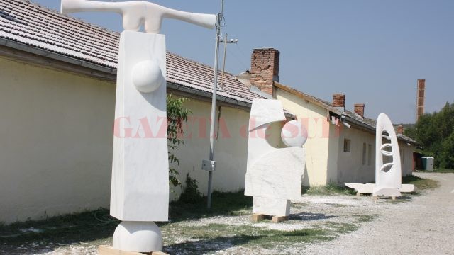 La Târgu Jiu se va sculpta timp de o lună de zile