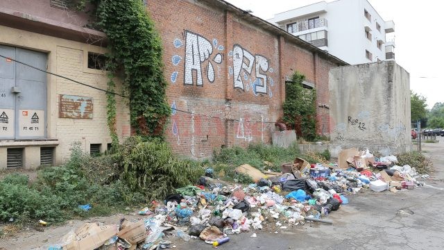 Intrarea pe strada Florilor, transformată în ghenă de gunoi (Foto: Bogdan Grosu)