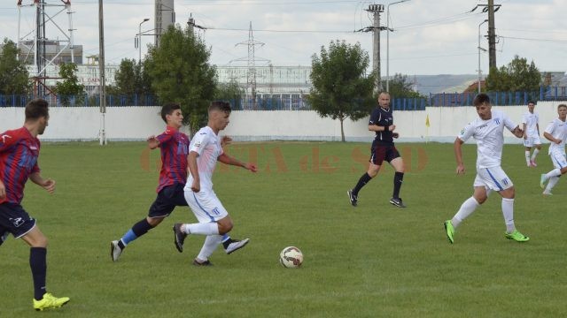 _DSC0037