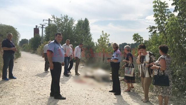 Oamenii legii încearcă să stabilească în ce condiții și-a pierdut viața animalul care tracta o căruță pe Aleea 1 Șimnic din Craiova