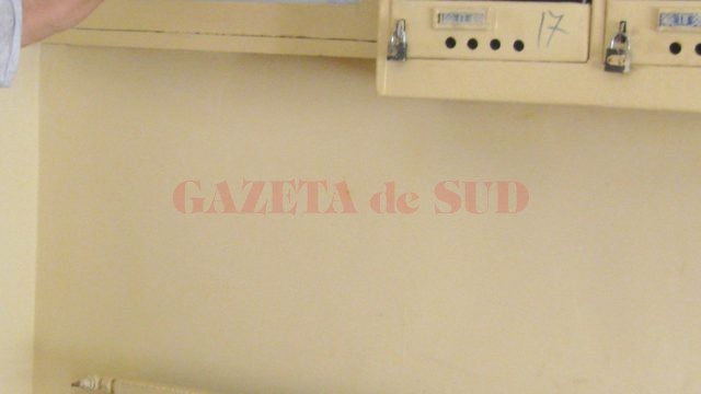 Anchetatorii au stabilit că cele două femei au adus un prejudiciu de aproape 350.000 de lei Asociațiilor nr. 1 Rovine și nr. 2 Piața Gării (FOTO: Arhiva GdS)