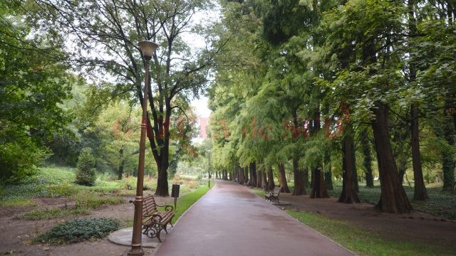 Botanica este deschisă publicului și poate fi vizitată