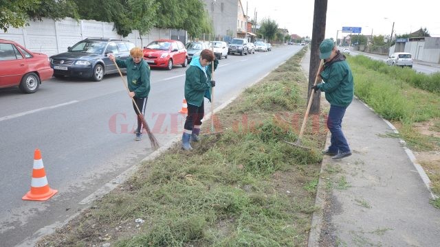 Angajații RAADPFL au început să curețe de buruieni spațiul verde de pe strada Râului (FOTO: Traian Mitrache)