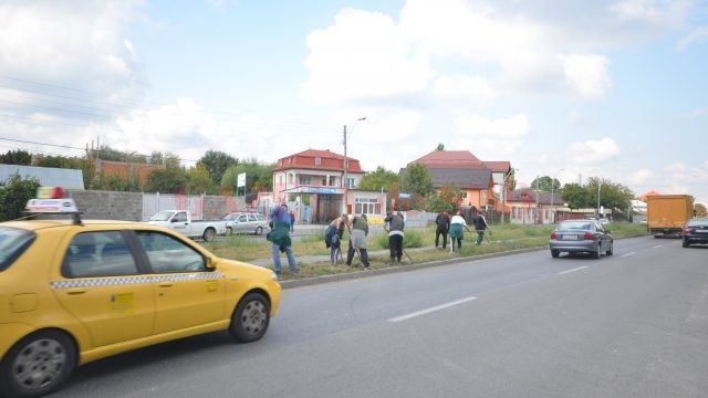 Angajații RAADPFL au început să curețe de buruieni spațiul verde de pe strada Râului (FOTO: Traian Mitrache)