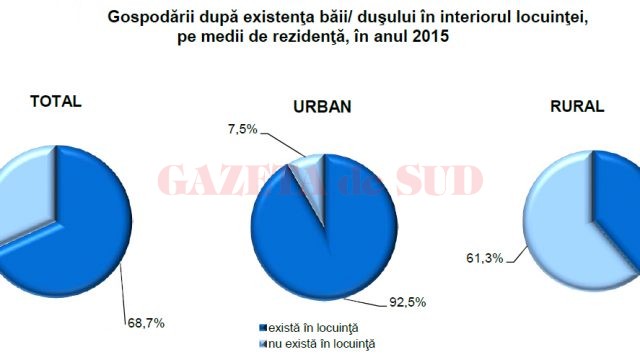 Grafic 01