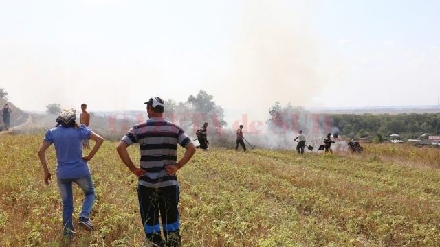 Oamenii au ajutat la stingerea incendiului de teamă că acesta le-ar putea afecta locuinţele (Foto: Lucian Anghel)