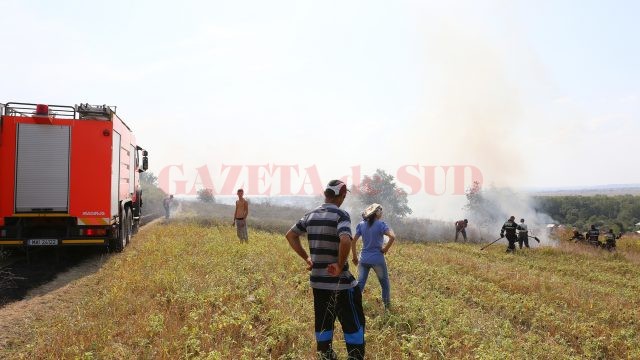 Oamenii au ajutat la stingerea incendiului de teamă că acesta le-ar putea afecta locuinţele (Foto: Lucian Anghel)
