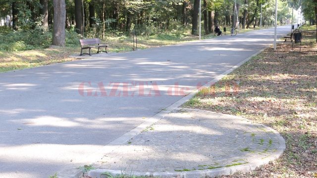 Unele bănci de pe aleile din Parcul Tineretului s-au rupt, altele au dispărut de pe amplasament